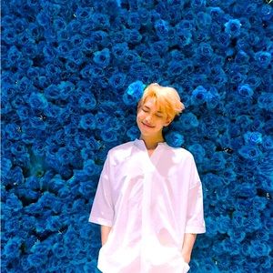 Meet your Posher, Addison